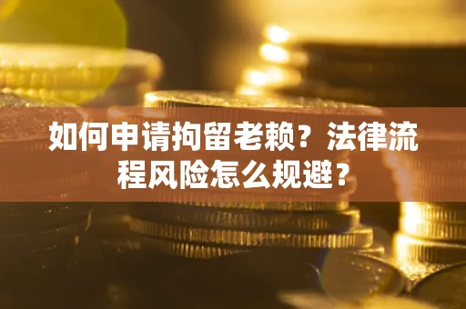 武汉如何申请拘留老赖？法律流程风险怎么规避？