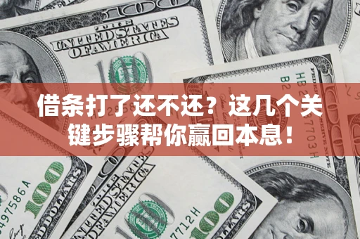 武汉借条打了还不还？这几个关键步骤帮你赢回本息！