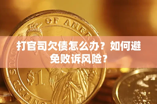 武汉打官司欠债怎么办？如何避免败诉风险？