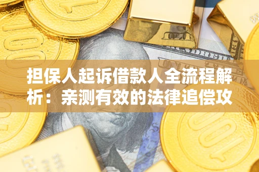 武汉担保人起诉借款人全流程解析：亲测有效的法律追偿攻略