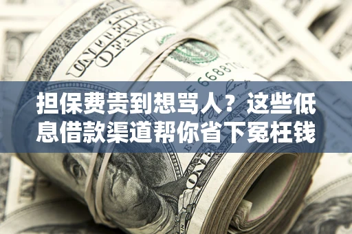 武汉担保费贵到想骂人？这些低息借款渠道帮你省下冤枉钱