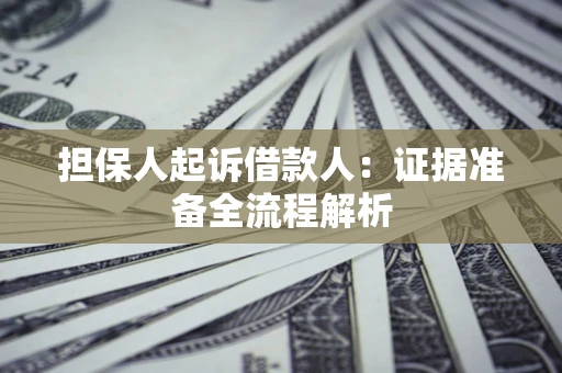 武汉担保人起诉借款人：证据准备全流程解析