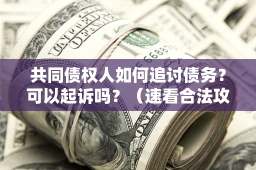 武汉共同债权人如何追讨债务？可以起诉吗？（速看合法攻略）