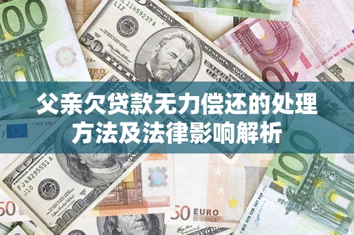 武汉父亲欠贷款无力偿还的处理方法及法律影响解析