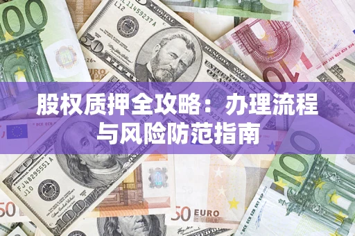 武汉股权质押全攻略：办理流程与风险防范指南