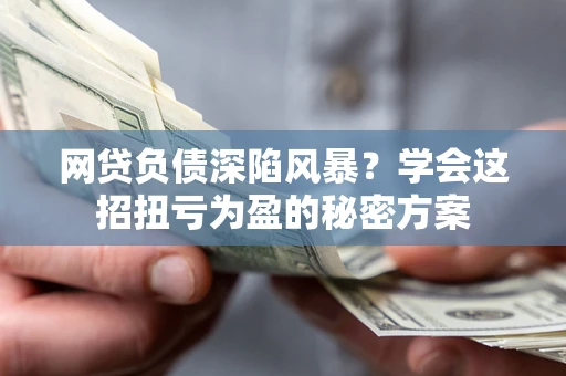 武汉网贷负债深陷风暴？学会这招扭亏为盈的秘密方案